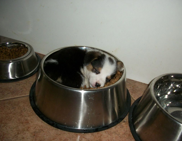 picdump344_35.jpg
