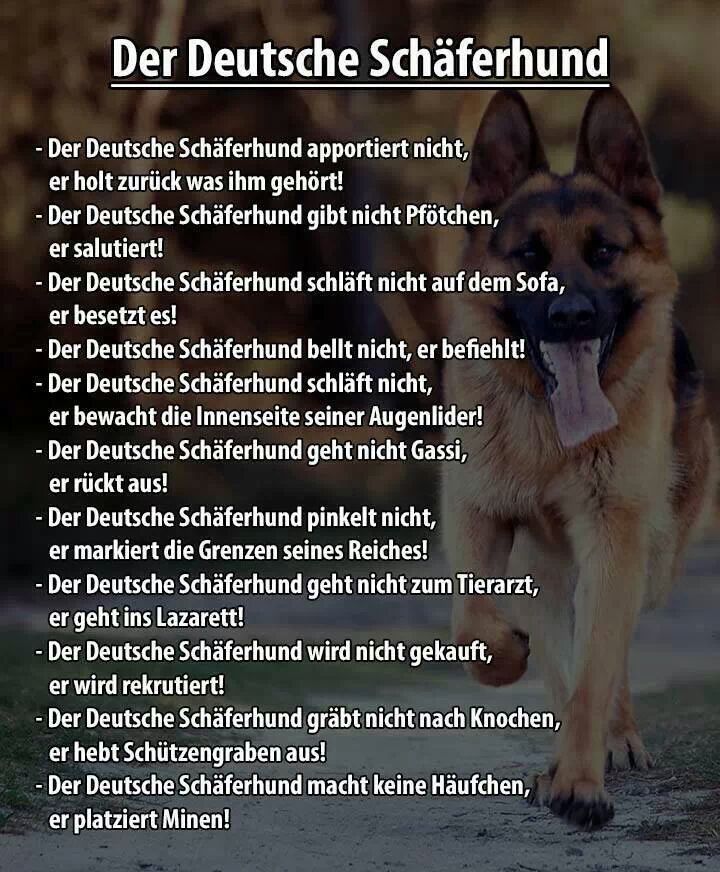 picdump366_021.jpg