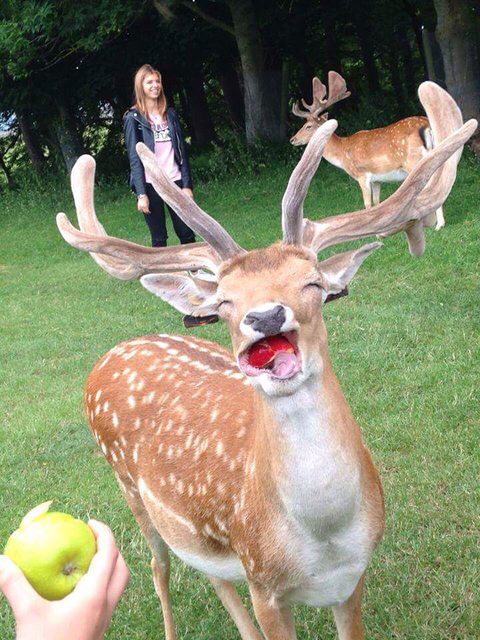 picdump427_115.jpg
