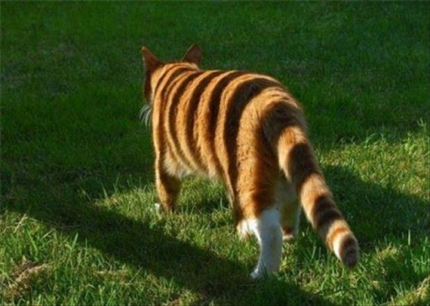 picdump436_69.jpg
