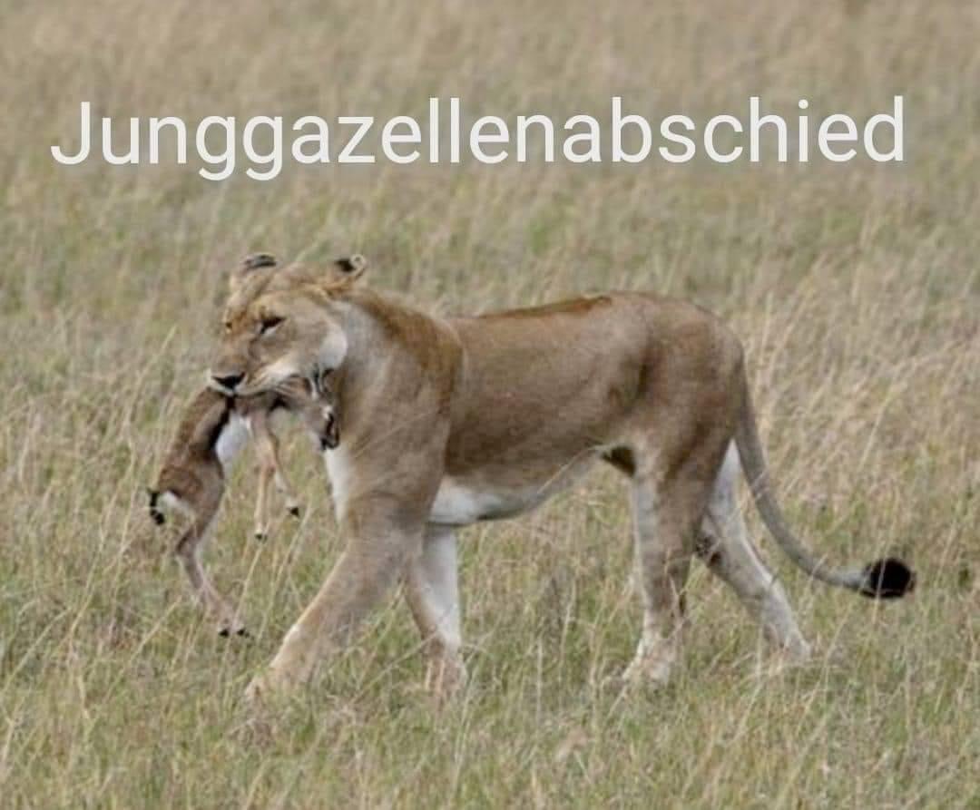 picdump695_063.jpg