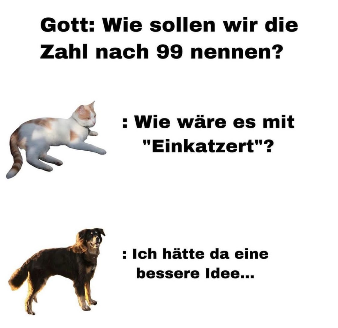 picdump905_070.jpg