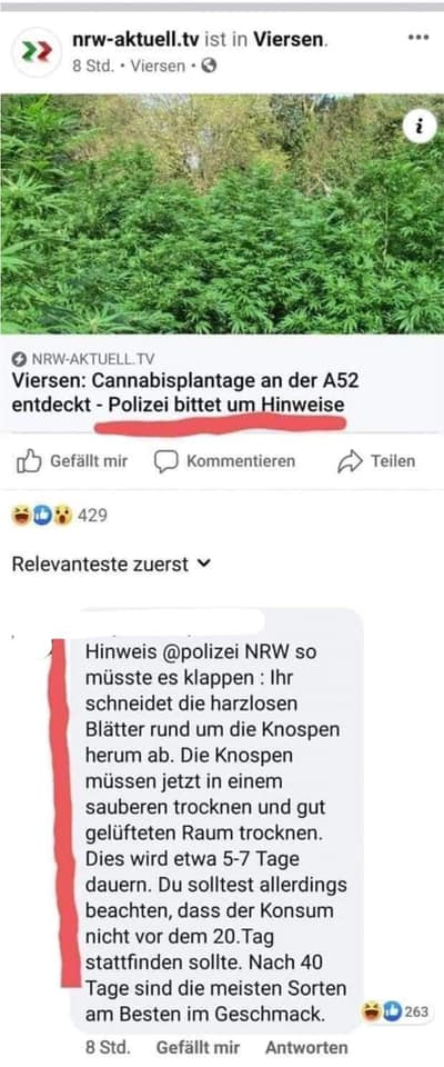 plantage.jpg