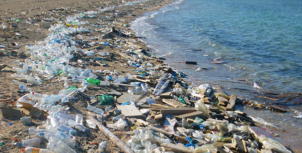 Plastikmuell2.jpg