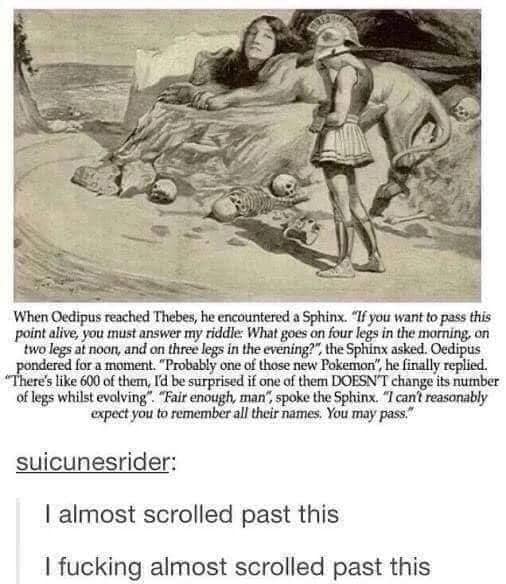 pokemon - riddle.jpg