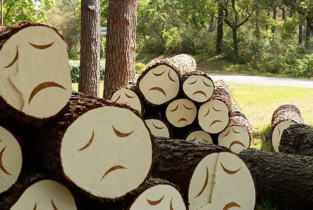 Poor-Little-Tree-Faces-2.jpg