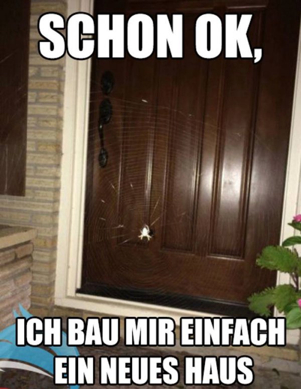 post2.jpg