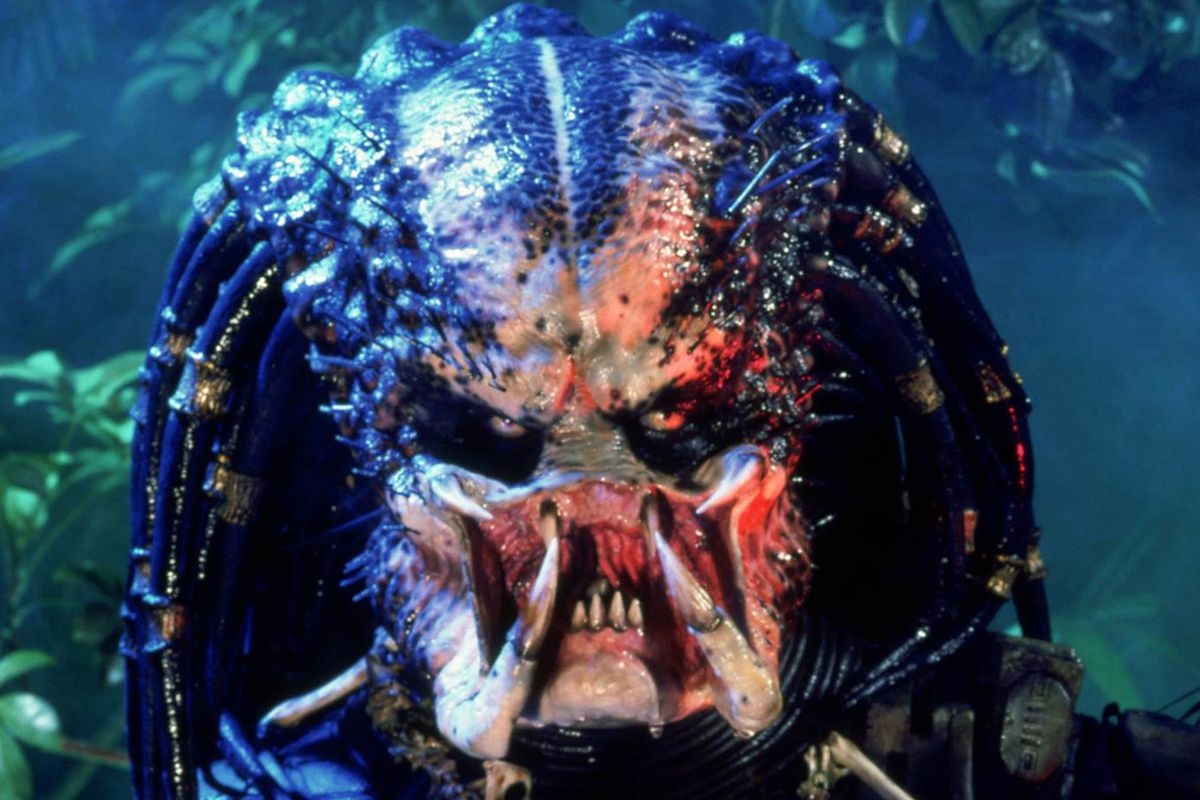 predator.0.0.jpg
