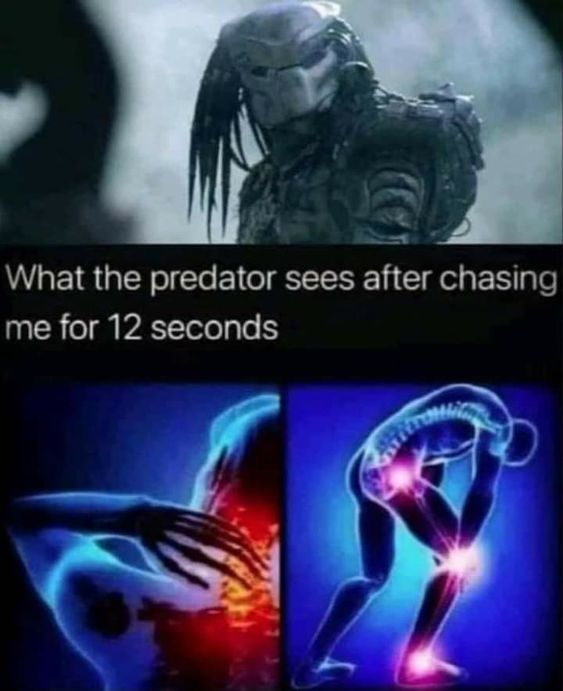 predator - pain.png