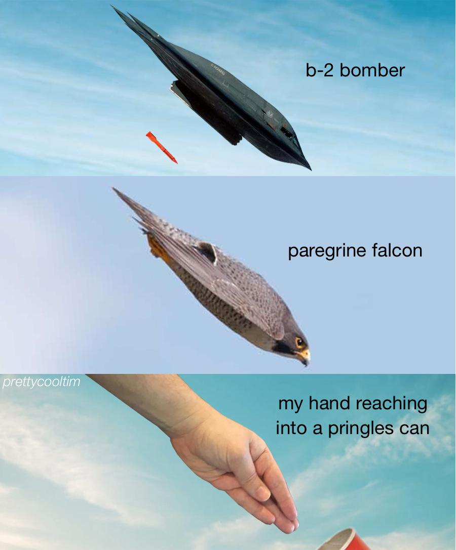 pringles.png