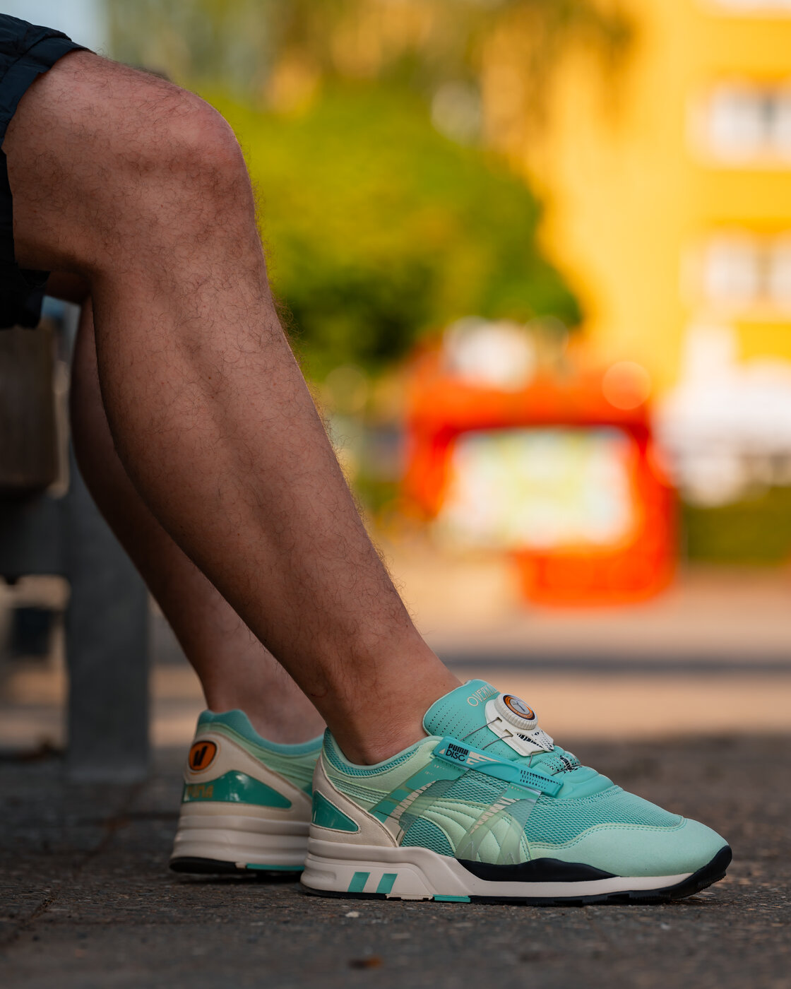 puma3.jpeg