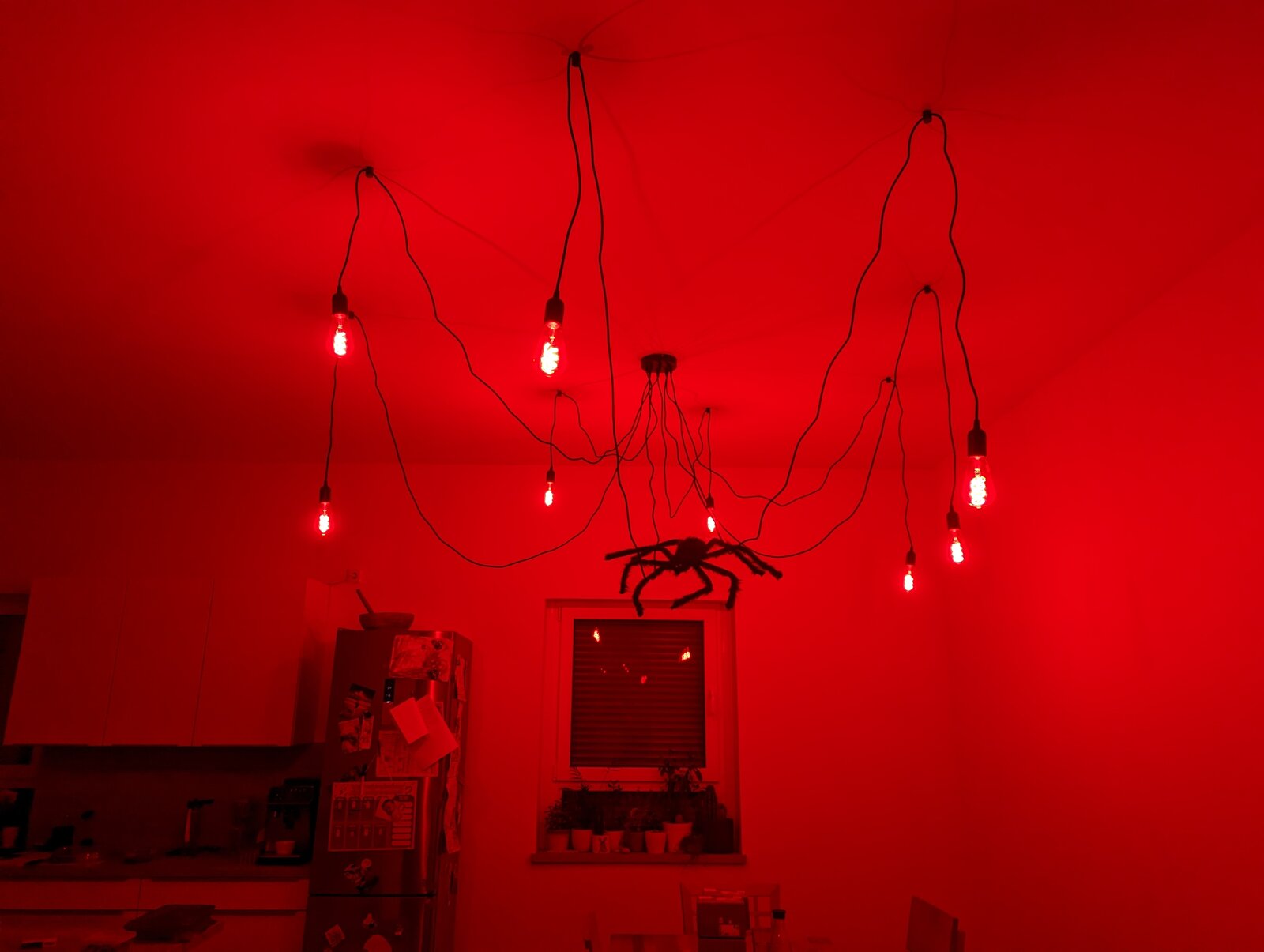PXL_20230326_104350023.jpg