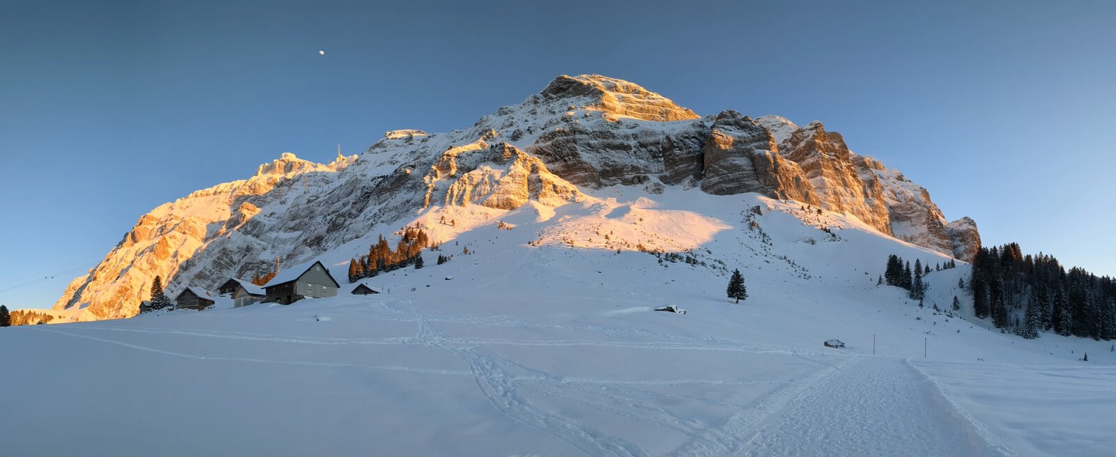 PXL_20240120_155253973.PANO.jpg
