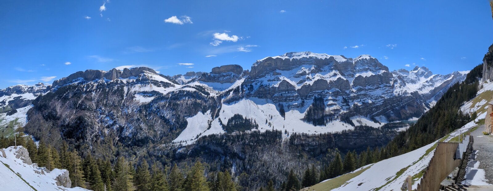 PXL_20240427_111732573.PANO.jpg