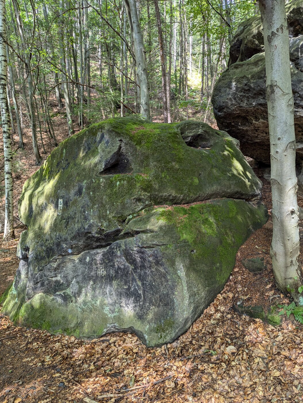 PXL_20240710_130950541.jpg