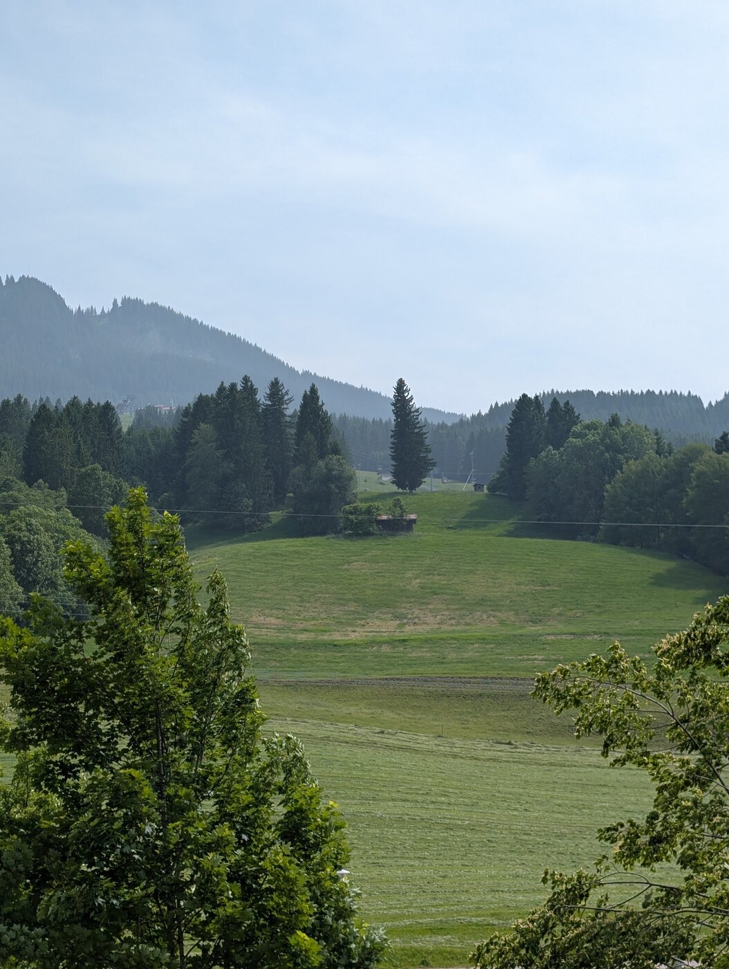 PXL_20250610_134342651.MP.jpg