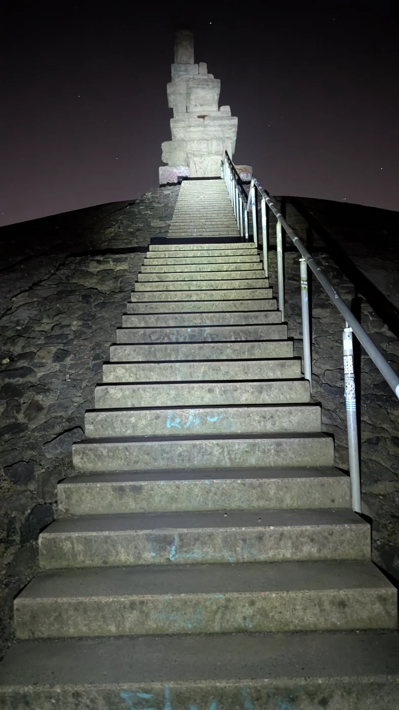 PXL_20251225_202715430.NIGHT.webp