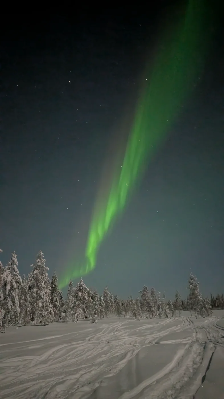 PXL_20260127_185743388.NIGHT.webp