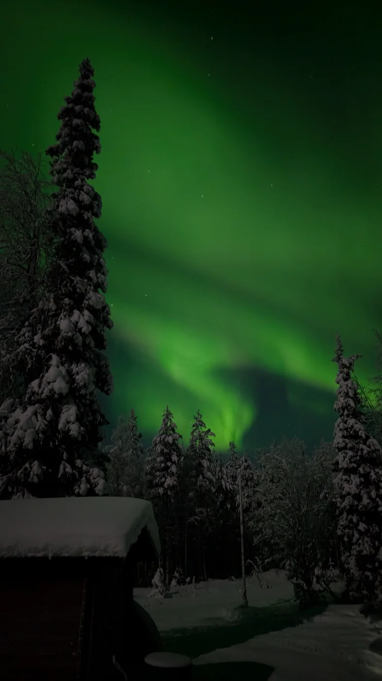 PXL_20260127_202431449.NIGHT~2.webp
