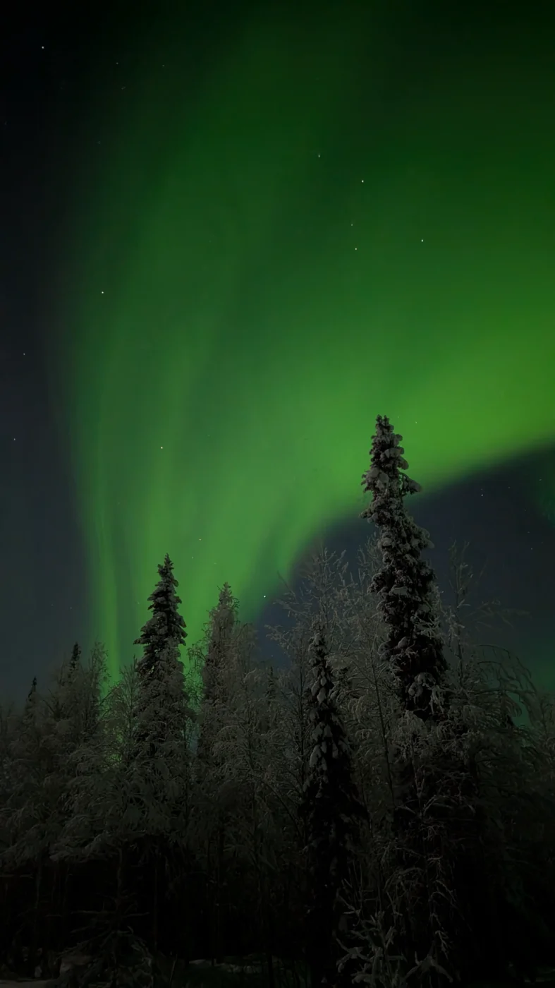 PXL_20260127_202531810.NIGHT.webp