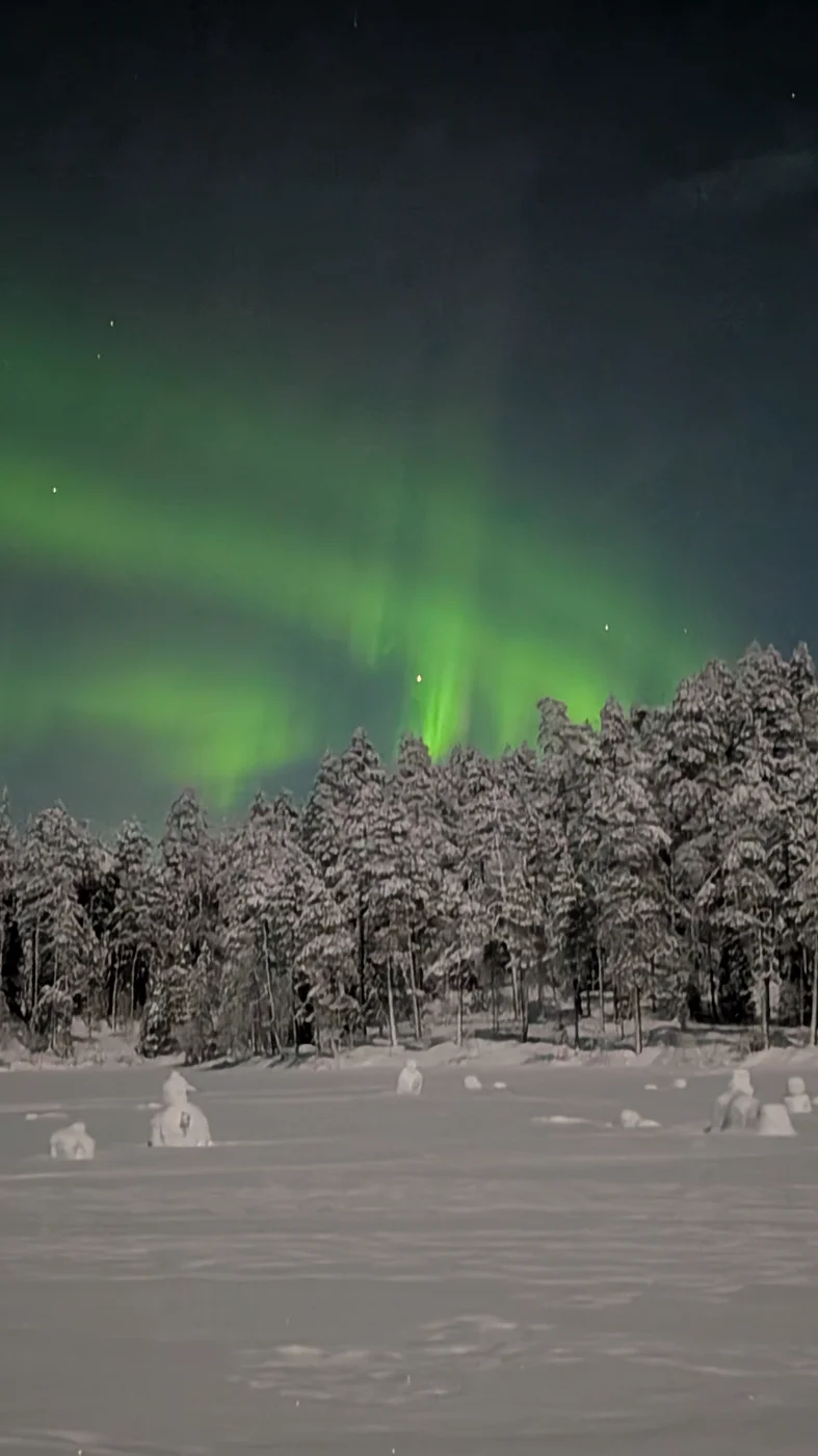 PXL_20260128_202249076.NIGHT.webp