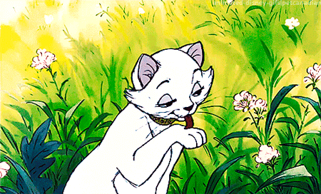 Q8Egr5YLAza8w.gif