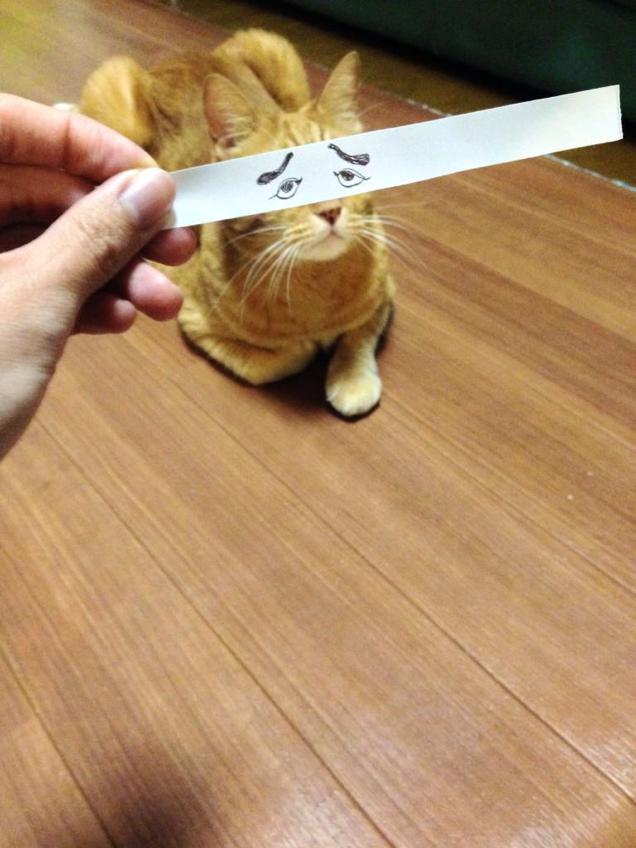 qs48rprbsixr6iwhjflx.jpg