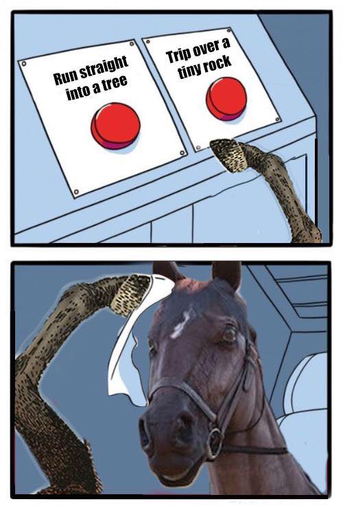 rdr2 meme horse.jpg
