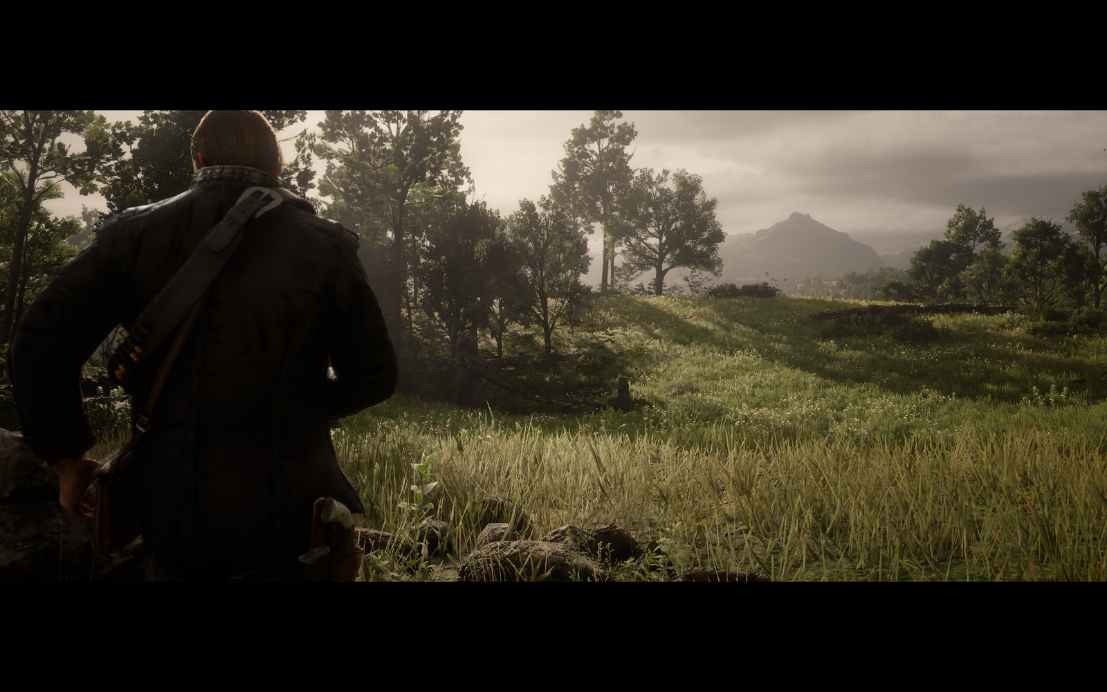 Red Dead Redemption 2 Screenshot 2019.11.28 - 14.12.05.25.png