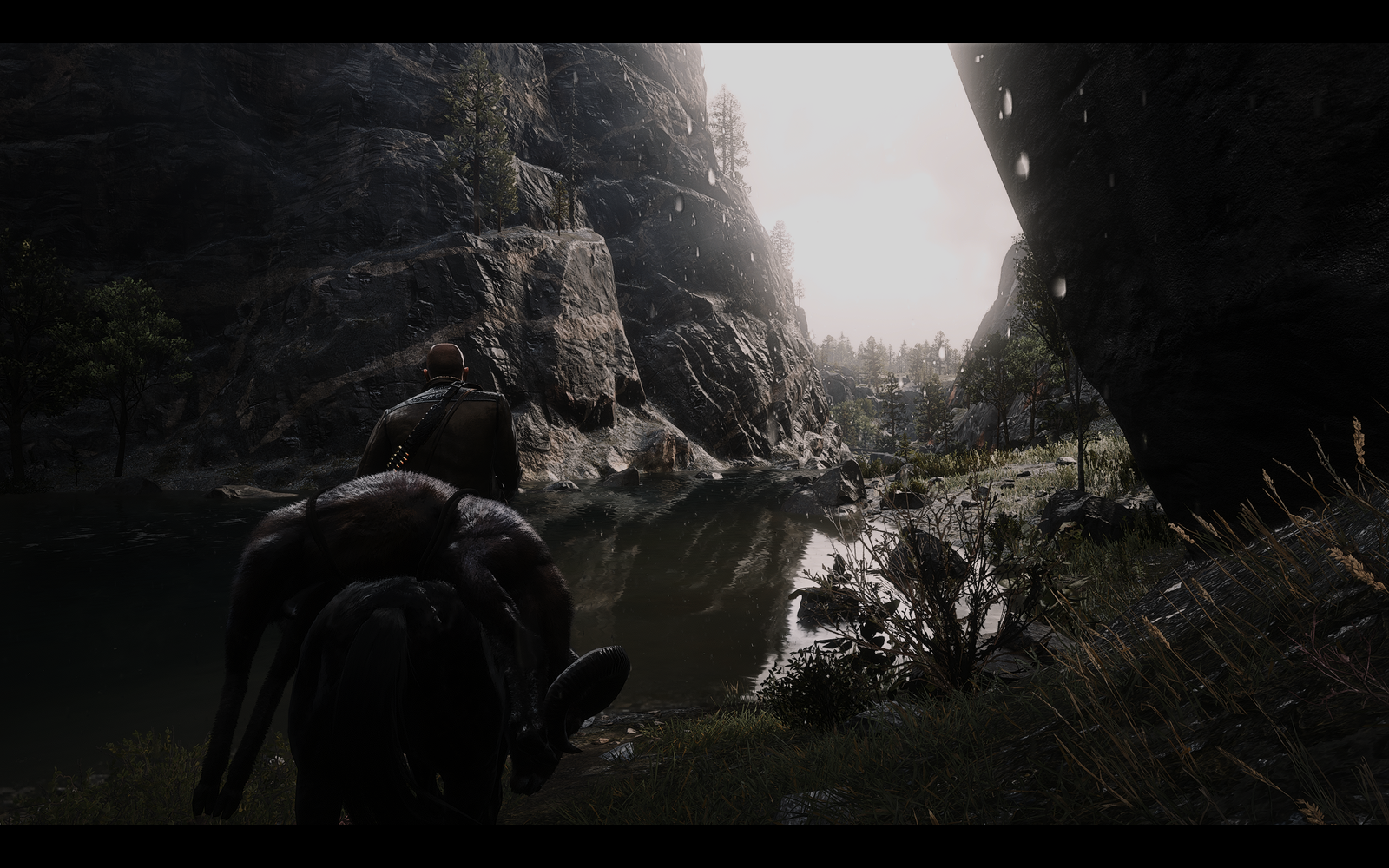 Red Dead Redemption 2 Screenshot 2020.02.07 - 19.38.07.84.png