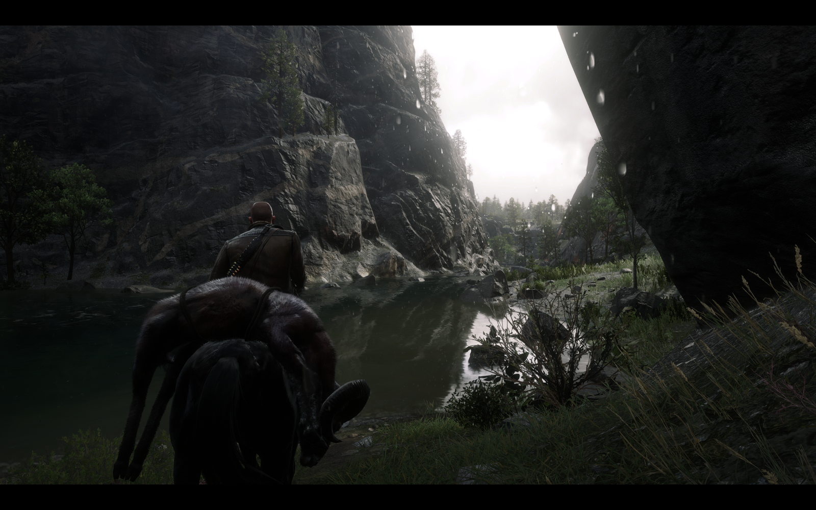 Red Dead Redemption 2 Screenshot 2020.02.07 - 19.38.11.97.png