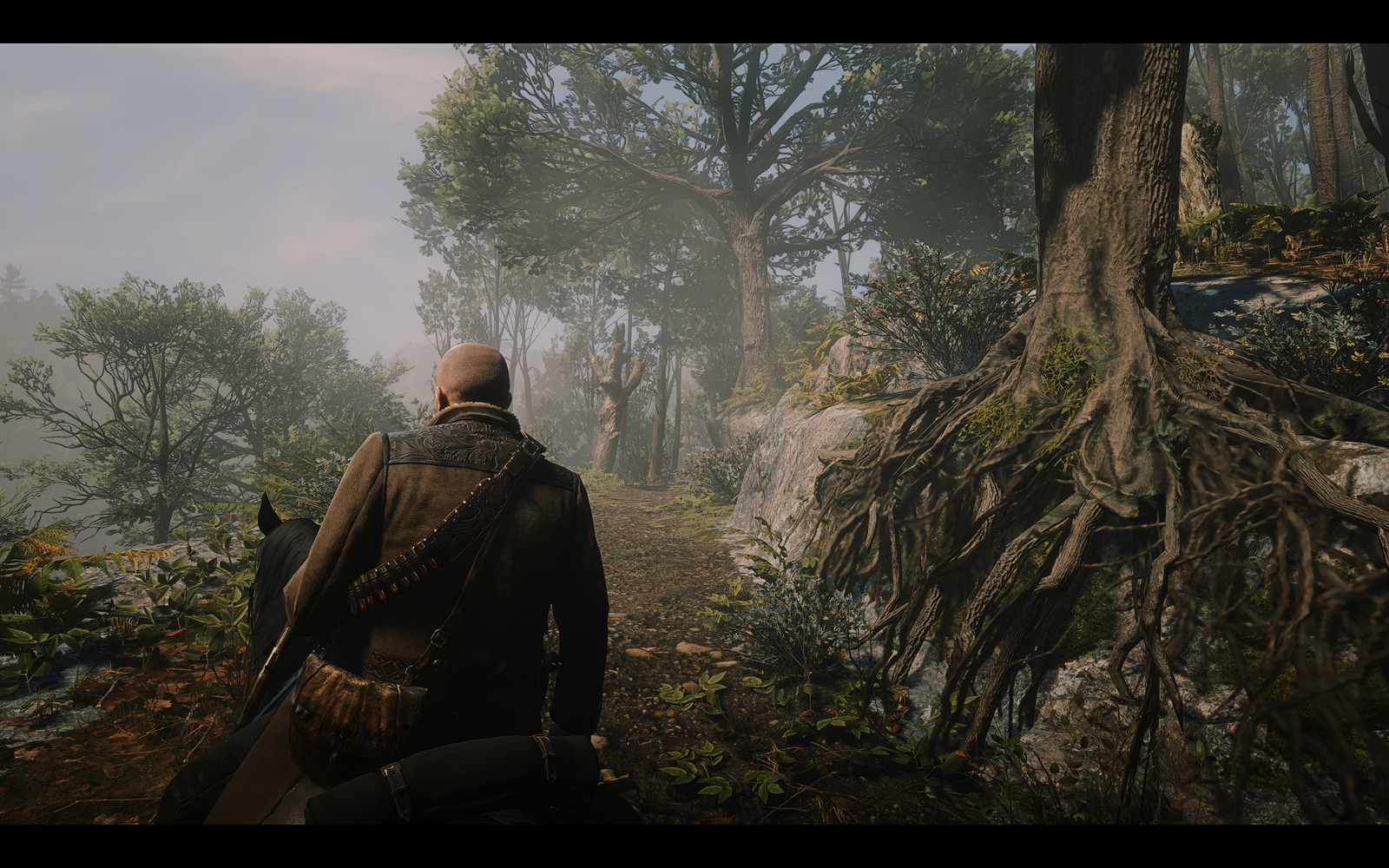 Red Dead Redemption 2 Screenshot 2020.02.07 - 22.36.31.44.png