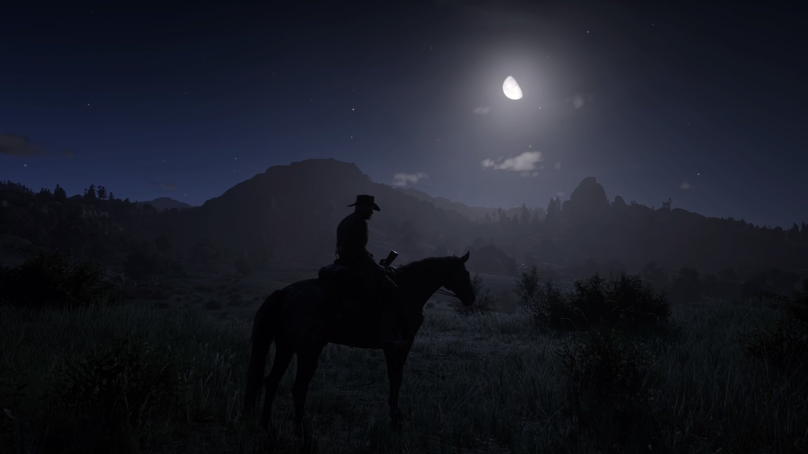 Red Dead Redemption 2_20181030223915.jpg