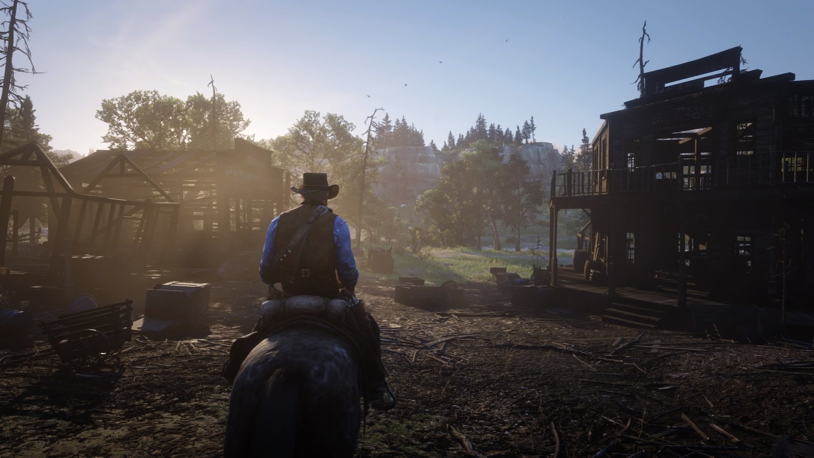 Red Dead Redemption 2_20181102234123.jpg