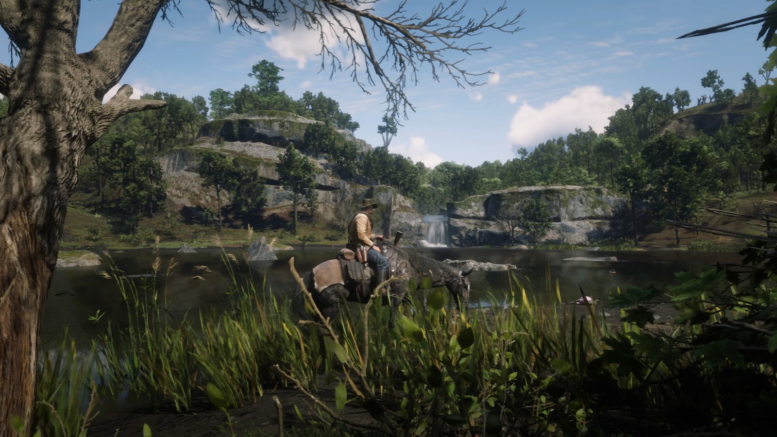 Red Dead Redemption 2_20181120223753.jpg