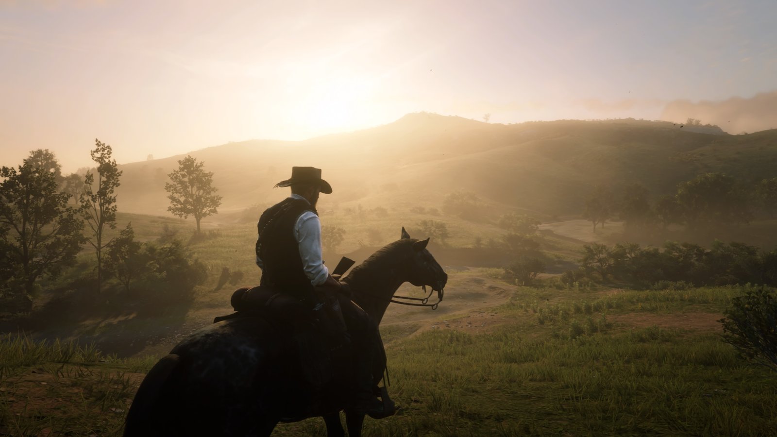 Red Dead Redemption 2_20181219205042.jpg