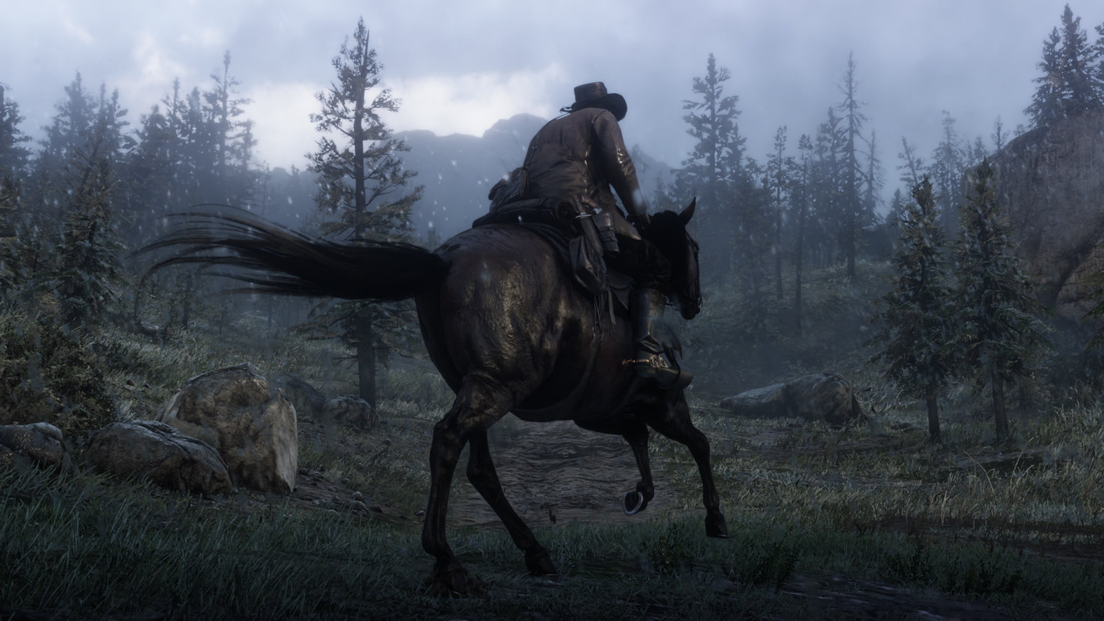 Red-Dead-Redemption-2_2018_05-03-18_001.jpg