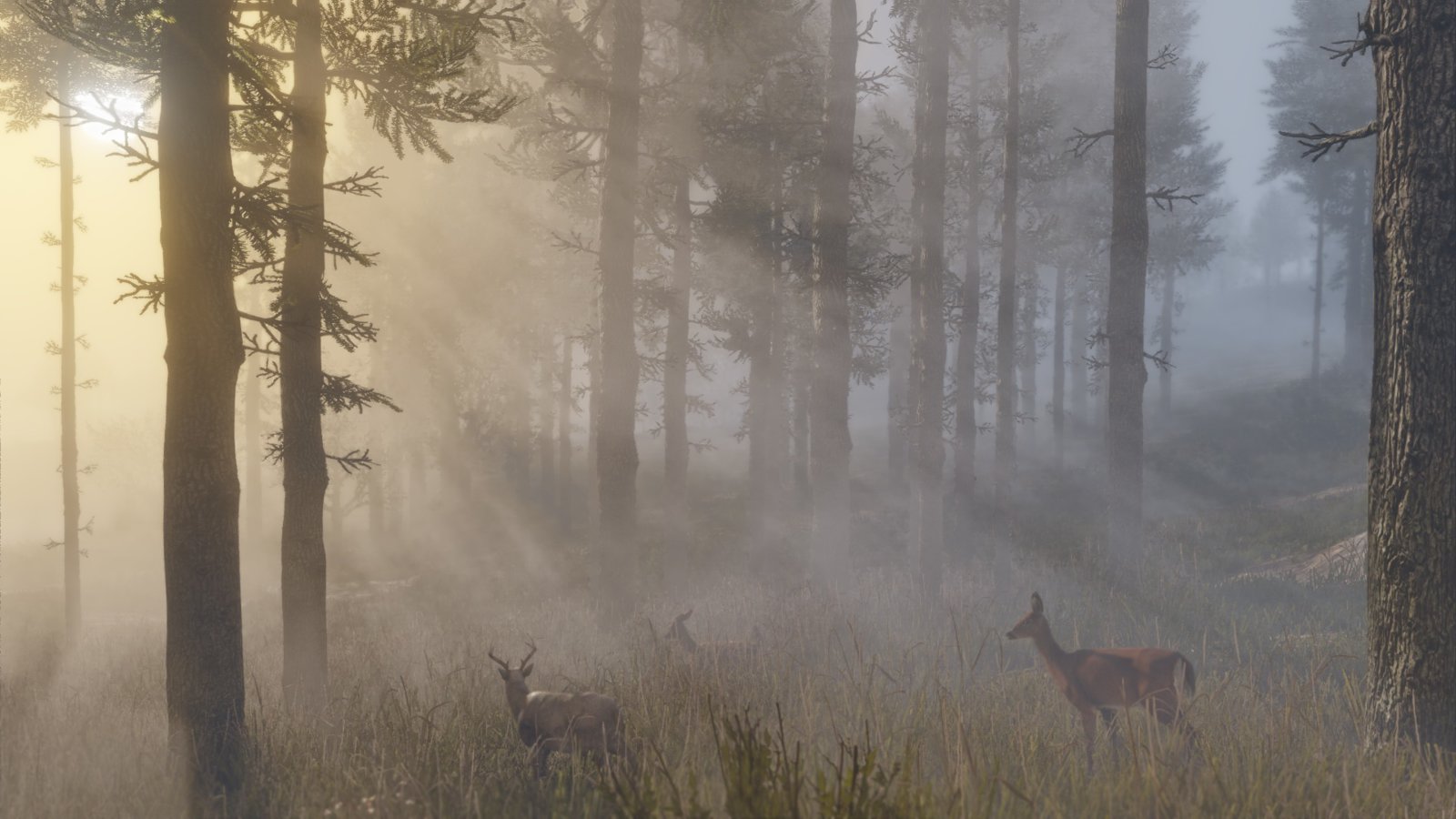 Red-Dead-Redemption-2_2018_05-03-18_006.jpg