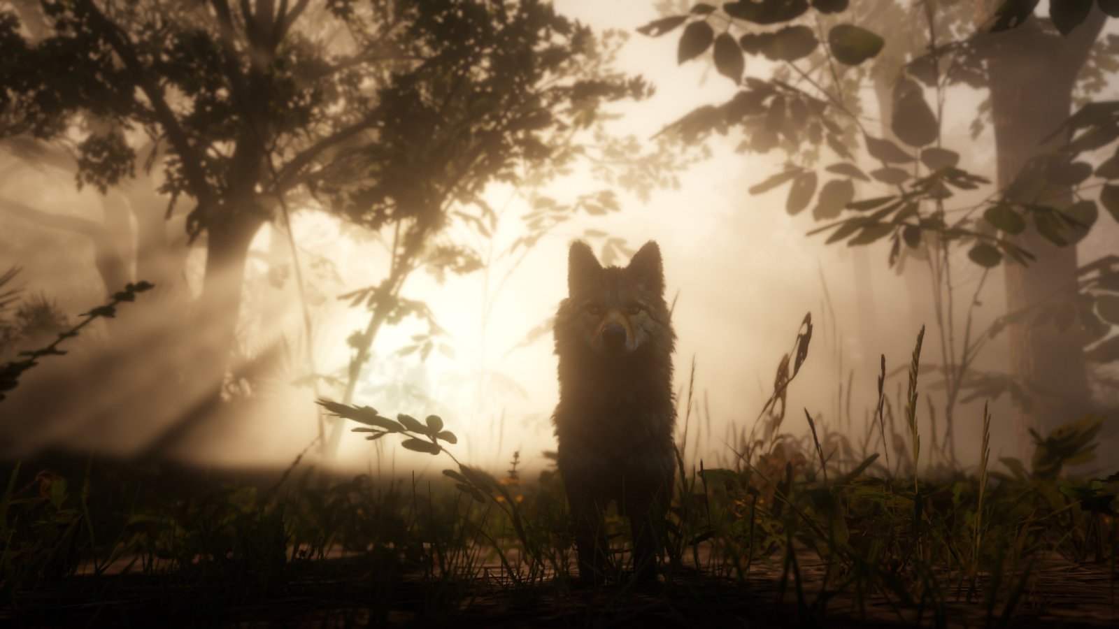 Red-Dead-Redemption-2_2018_05-03-18_008.jpg