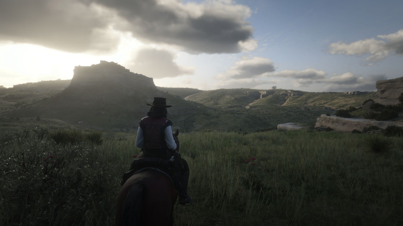 Red Dead Redemption 2_20190725132703.png