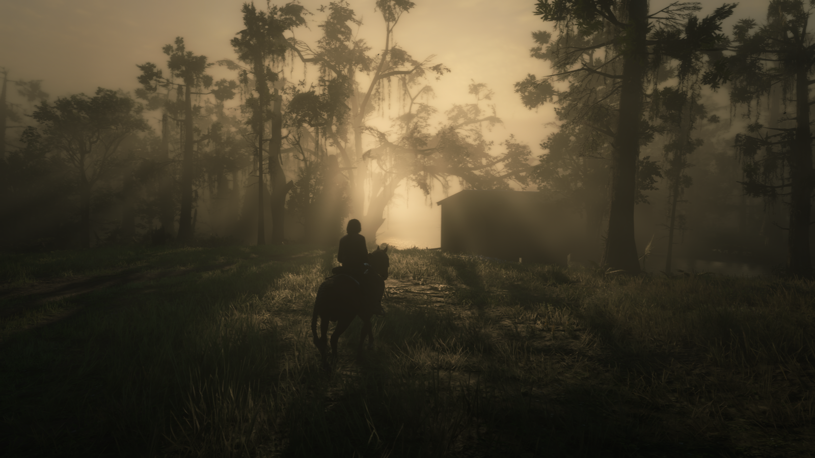 Red Dead Redemption 2_20190731163621.png