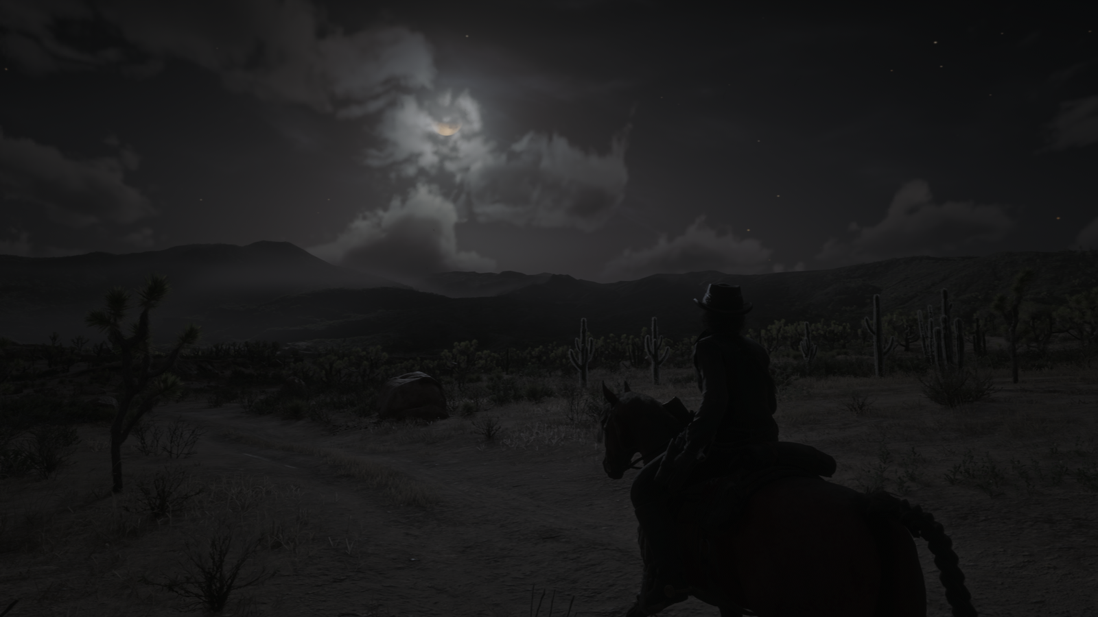 Red Dead Redemption 2_20190805144802.png
