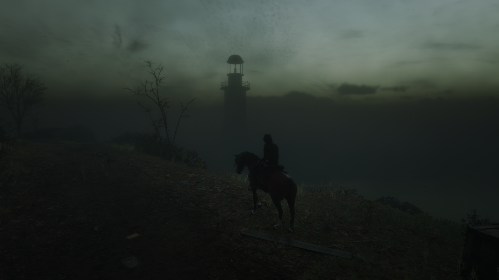 Red Dead Redemption 2_20190808163446.png