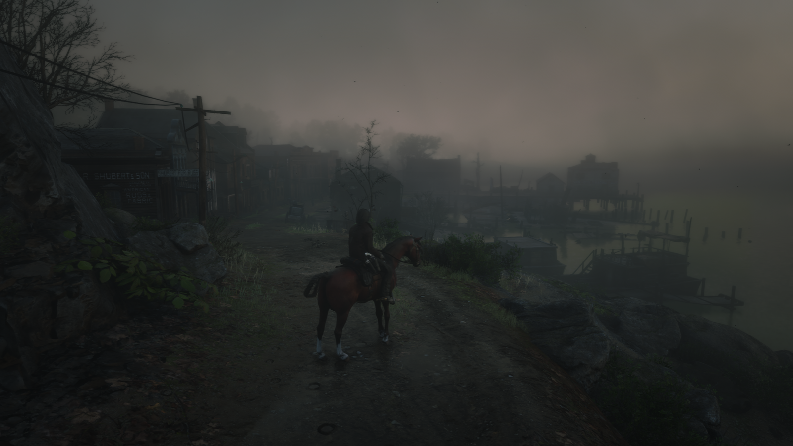 Red Dead Redemption 2_20190808163636.png