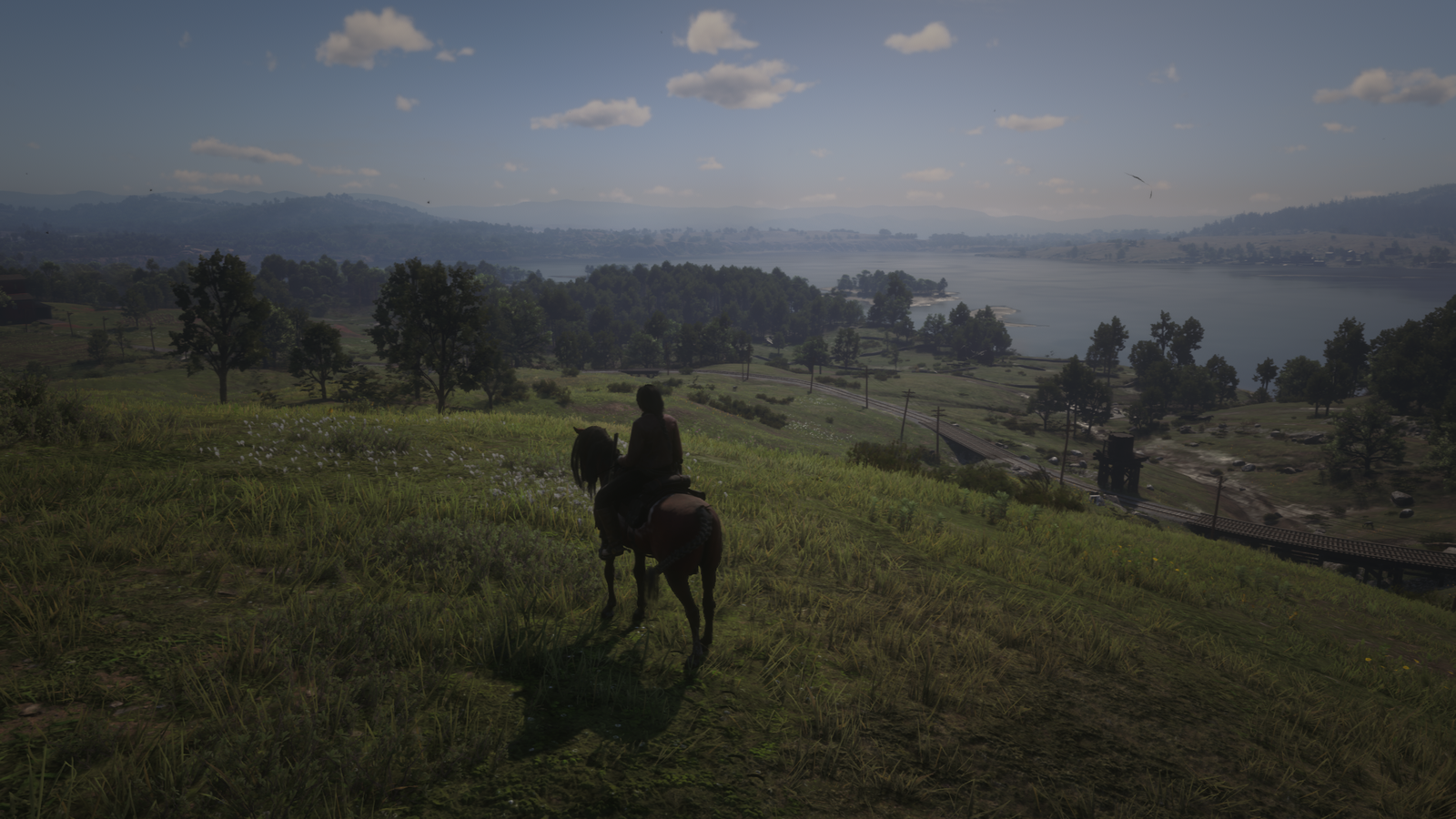Red Dead Redemption 2_20190808165536.png