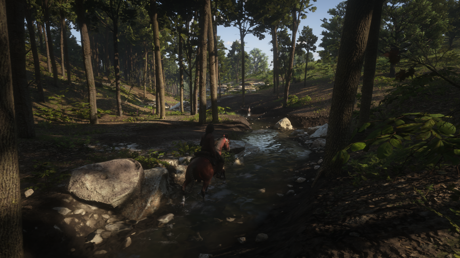Red Dead Redemption 2_20190808165728.png