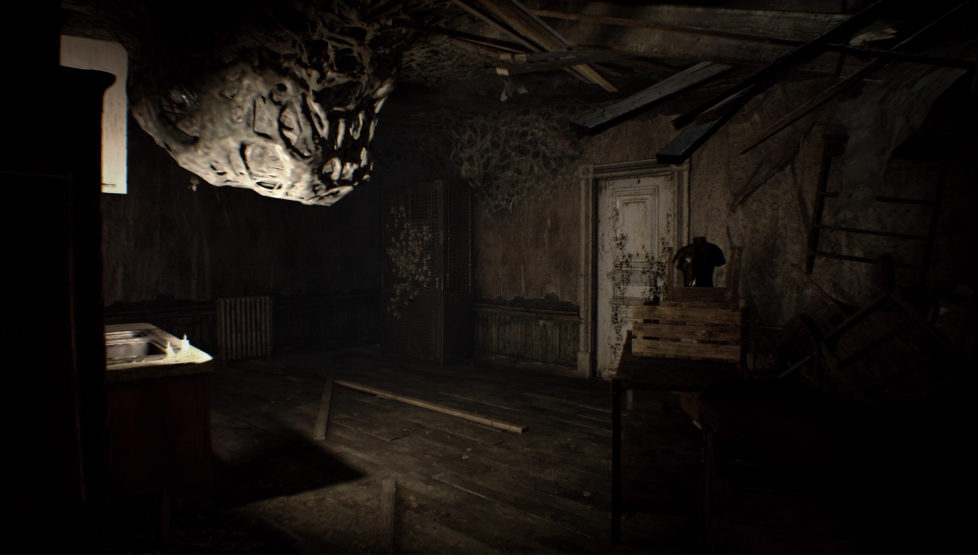 resi7-bio-31.jpg