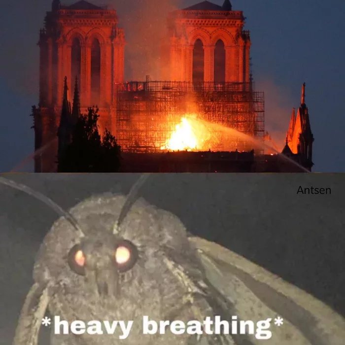 Return-of-the-Moth--peut-tre-trop-tt-.jpg