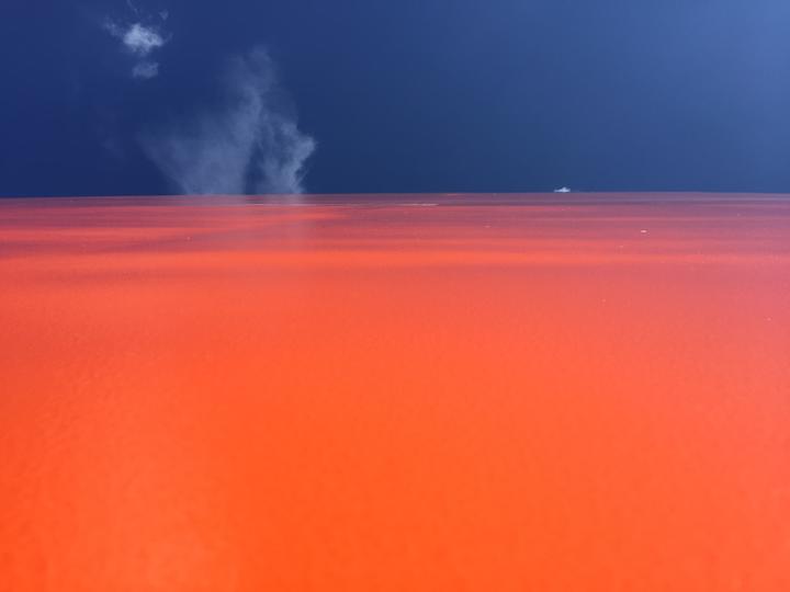 Rheinorange3kl2.jpg