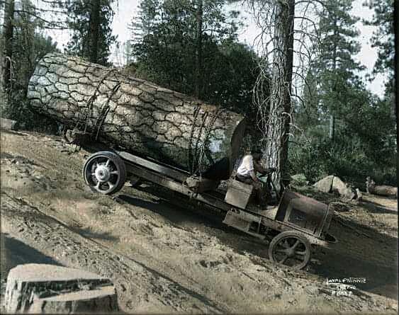 riesenbaum lkw.jpg